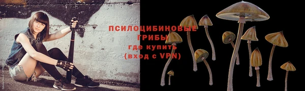 сатива Пролетарск