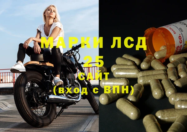 сатива Пролетарск