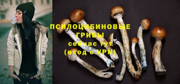 сатива Пролетарск