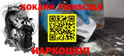 спиды Гатчина