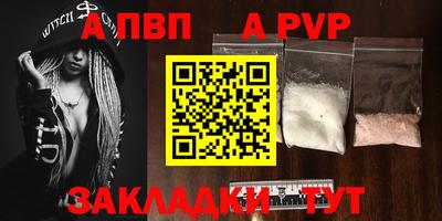 спиды Гатчина