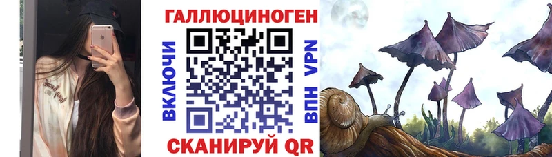 Галлюциногенные грибы GOLDEN TEACHER  Советская Гавань 
