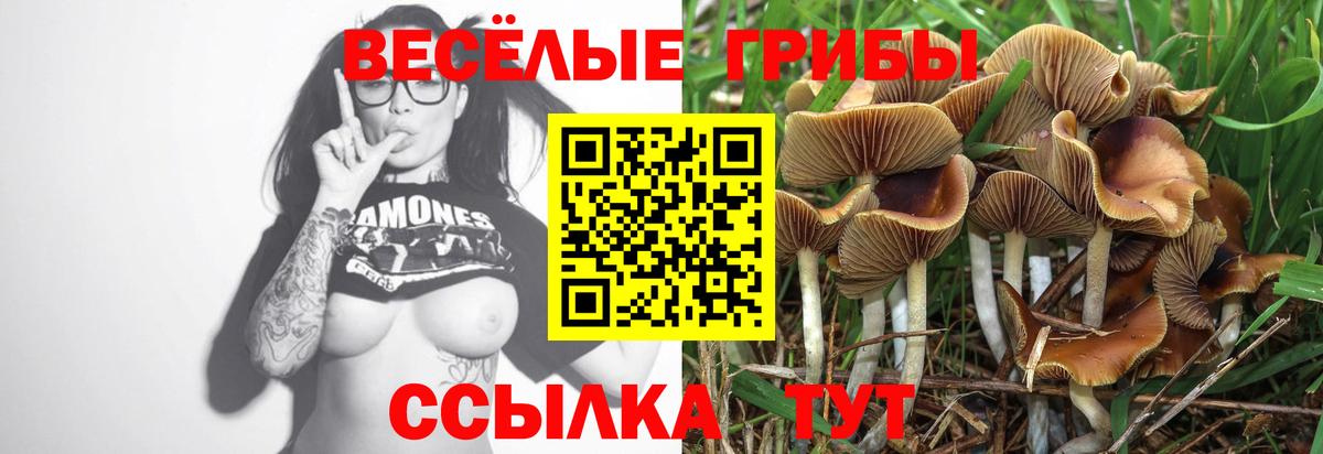 Псилоцибиновые грибы ЛСД  Вход с VPN  Советская Гавань 
